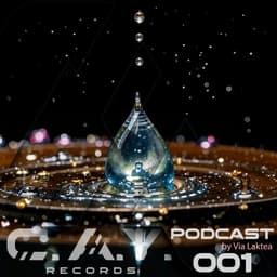 C.A.Y. Records podcast cover